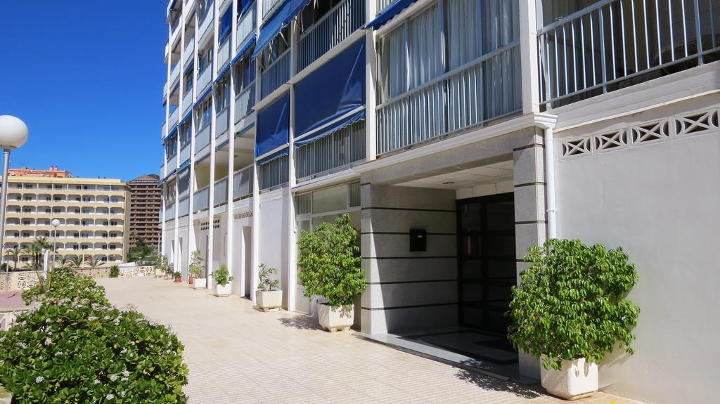 Halcon Levante Benidorm Phòng bức ảnh