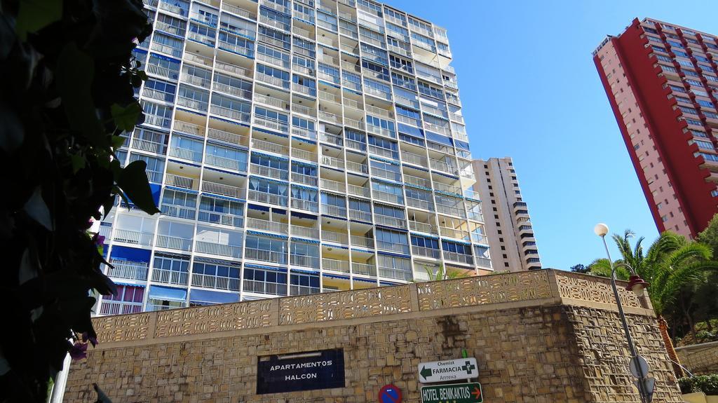 Halcon Levante Benidorm Phòng bức ảnh
